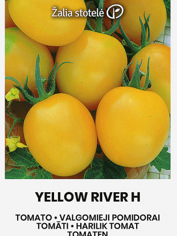 Yellow River F1 (12 seminte) de rosii galbene, fructe mici in forma de pruna, dulci, Seklos