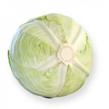 Zuleima F1 - 2500 sem - Seminte de varza alba cu frunze exterioare fine si de culoare verde deschis fiind destinata consumului in stare proaspata cat si pentru procesare(decapare) de la Rijk Zwaan