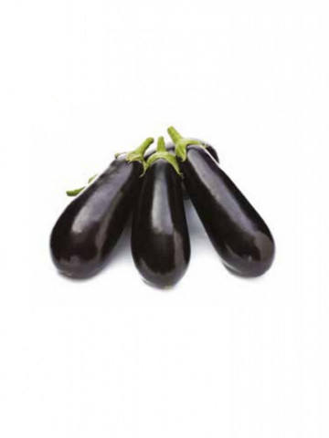 73 - 36 F1 (1000 seminte) de vinete cu forma ovala fara tepi de culoare neagra ajungand la o greutate de 300-320 grame, Yuksel