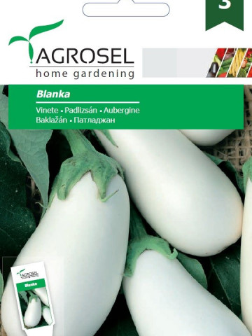 Albe Blanka (120 seminte) soi alb de vinete semitimpurii alungite, Agrosel