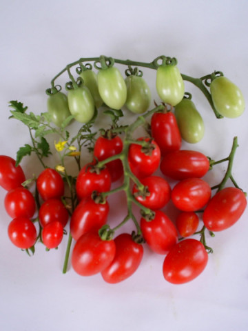 Alya IZK (60 seminte) tomate tip cherry oval alungite, gust echilibrat dulce-acru, de la IZK Bulgaria
