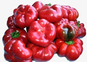 Ardei gogosar Cornel (1 kg), seminte de ardei gogosar soi romanesc, Agrosem