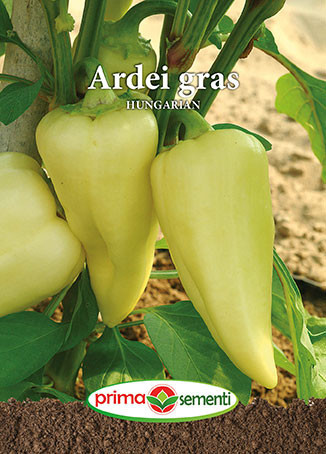 Ardei gras Hungarian (100 seminte) de ardei gras soi rezistent la boli, Prima Sementi