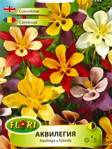 Caldarusa Mix - Seminte Flori Caldarusa de la Florian