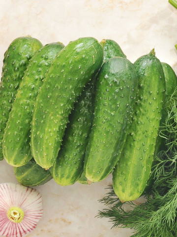 Castraveti cornison Delikates (4000 seminte) soi semitimpuriu fructe crocante, gustoase, Agrosem