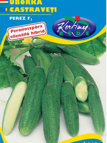 Castraveti cornison Perez F1 (1 gr), seminte de castraveti hibrid pentru conservare, Kertimag