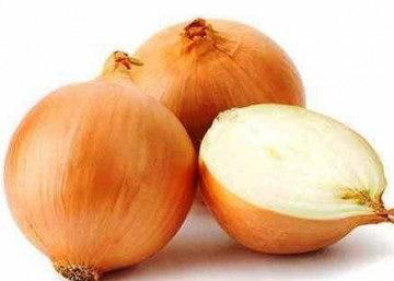 Ceapa Density (1 kg) Seminte de Ceapa Soi semitimpuriu si tardiv de la Isi Sementi