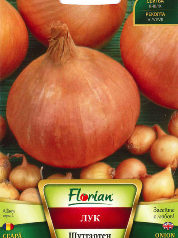 Ceapa STUTTGARTEN (50 gr) seminte de Ceapa Soi semitimpuriu, Florian Bulgaria