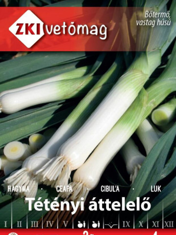 Ceapa Tetenyi Attelelo (800 seminte) de praz cu capacitate ridicată de producţie, ZKI