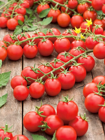 Cherrola F1 (35 seminte) de rosii tip cherry crestere nedeterminata, ZKI