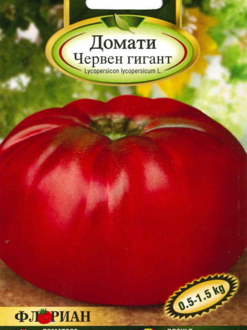 Gigant Rosu (60 seminte) de rosii nedeterminate foarte mari pana la 2 kg, Florian Bulgaria