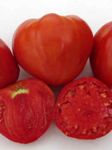 Inima Stacojie (Aleno Sartse) 150 seminte de tomate tip Gigant bulgaresc in forma de inima tip Beef, IZK Bulgaria