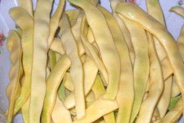 Juliska (100 gr) fasole urcatoare galbena, soi semitardiv, forma plata, Agrosem
