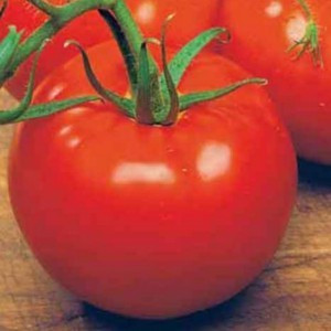 Keren F1 (Bilbo F1) - 1000 sem - Seminte Tomate Determinate pentru Camp de la Esasem