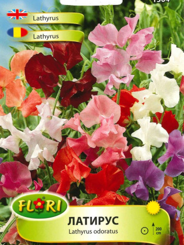 Lathyrus - Seminte Flori Sangele voinicului Lathyrus 2 de la Florian