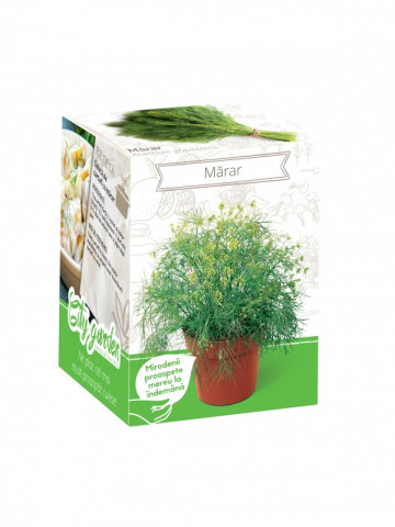 Marar - Kit plante aromatice