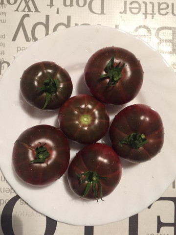 Negre de Crimeea (Black Krim) – 0.2 gr - Seminte Tomate Negre cu Crestere Nedeterminata Black Krim Negre de Crimeea Extratimpurii de la Opal