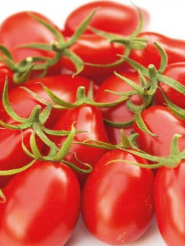 Nicoleta F1 (100 seminte) de tomate nedeterminate de tip cocktail, fruct in forma de para, rosu intens, Yuksel