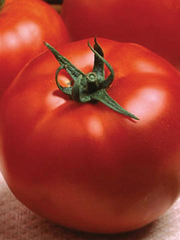 Optima F1 (25 seminte) de rosii cu crestere nedeterminata, Seminis
