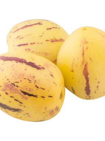 Pepino (4 seminte) fructe galbene cu dungi violet bogate in fibre si vitamina C, Agrosem