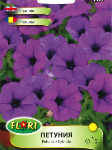 Petunie MOV - Seminte Flori Petunii Purple de la Florian