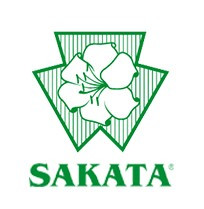 Podium F1 (500 seminte) de pepeni verzi seedless, Sakata