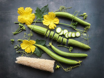 Seminte de Luffa Cylindrical planta din familia castravetelu Luffa, de la Opal