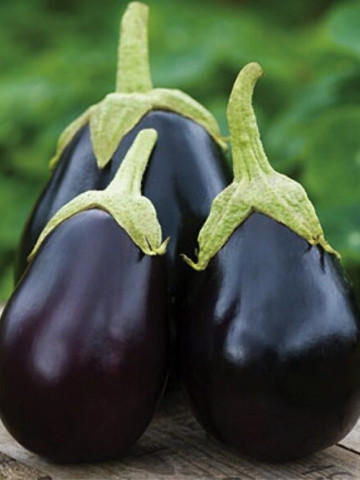 Vinete Black Beauty (10000 seminte) vinete forma rotund-ovala, violet-inchis, Agrosem