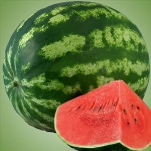 AU PRODUCER – 500 gr – Seminte Pepeni Verzi Crimson Sweet Au Poducer de la Hollar Seeds Colorado USA