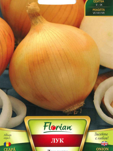 Ceapa DENSITY - 100 gr - Seminte de Ceapa Soi semitimpuriu si tardiv Florian Bulgaria