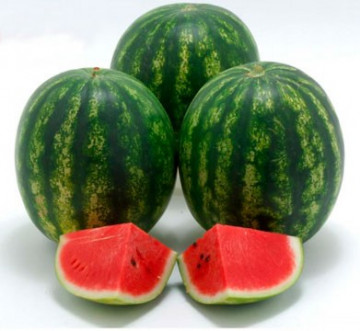 Crispeed F1 - 1000 sem - Seminte de pepene verde tip Crimson extra-timpuriu cu productie concentrata si plante viguroase ce confera siguranta culturii avand un procentaj ridicat de fructe de la Sakata