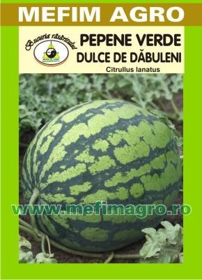 Dulce de Dabuleni - 2 g - Seminte de Pepene Verde Soi Romanesc de Pepeni Verzi Dulce de Dabuleni