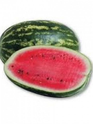 Dumara F1 (500 seminte) de pepene verde tip crimson alungit 10-14 kg gust intens, Nunhems