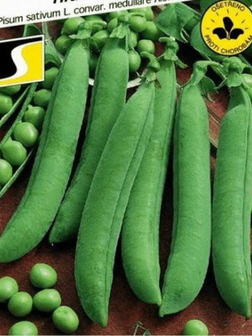 Gloriosa Seminte de Mazare extra-timpurie (100 gr) de Gradina tip Ran-1, Florian