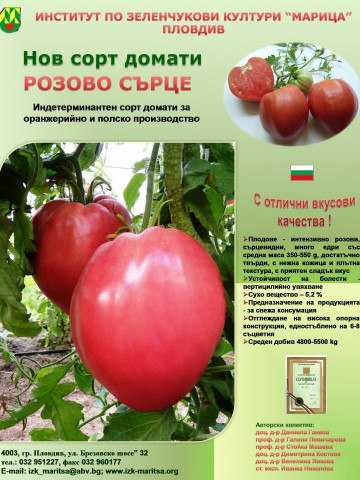 Inima Roz (30 seminte) tomate nedeterminate semitimpurii soi de rosii mari, gust excelent