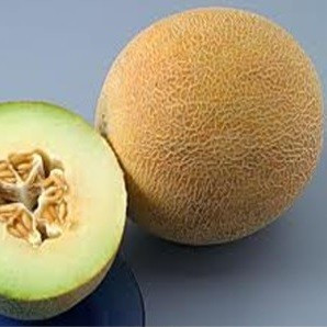 Jaguar F1 (500 seminte) de pepene galben tip Galia-ananas timpurietate medie gust aromat greutate 3-4 kg cu pastrarea calitatilor in timp ce poate fi cultivat in sere si solarii sau camp, Esasem