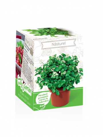 Nasturel - Kit plante aromatice