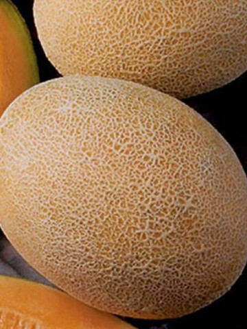 Pepene Galben Ananas (1 kg), seminte de pepene galben miez zemos dulce, Agrosem