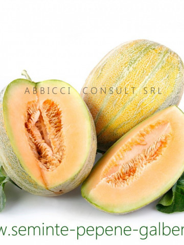Perla F1 - 10 gr - Seminte Pepeni Galbeni bulgaresti profesionale