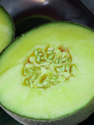 Pyros F1 CRX 89326 - 500 sem - Seminte de pepene galben timpuriu forma rotunda tolerant la mana si productivitate ridicata de la Cora Seeds
