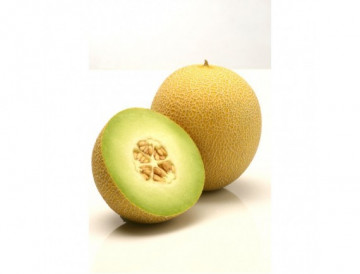 Rachel (500 seminte) de pepene galben tip Ananas, Hazera