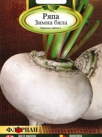 Ridichi ALBA DE IARNA - 5 gr - Seminte de Ridichi Soi timpuriu Alba de iarna