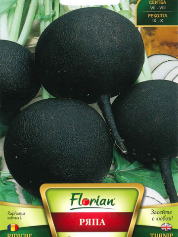 Ridichi Negre de Iarna - 10 g - Seminte de Ridichi negre de iarna de la Florian