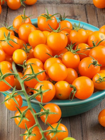 Rosii Cherry Portocaliu (100 seminte) tomate tip cherry portocalii soi timpuriu nedeterminat, Florian Bulgaria