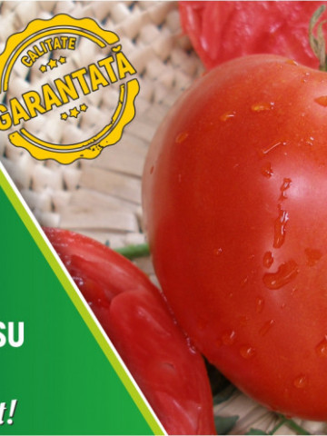 Rosii Gigant Inima de Bivol Rosu (0.2 gr) Seminte tomate mari soi Gigant bulgaresc Opal