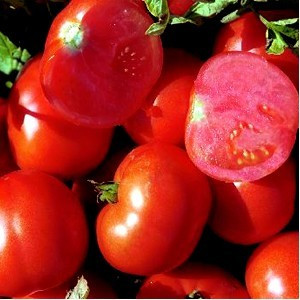 Rosii Townsville F1 – 5 gr – seminte de rosii determinate tomate olandeze