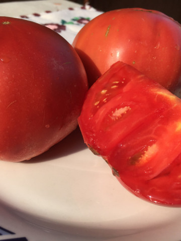 Rozamax Tomate Roz (0.5 gr), Seminte de Rosii Gigant roze Rozamax de la Florian Bulgaira Soi Nou