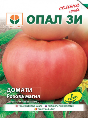 Rozova Maghia (5 gr) seminte tomate roze Magie Roz tip gigant bulgaresc, Opal