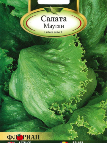 Salata MAUGLI - 1 gr - Seminte de Salata Soi Iceberg semitimpuriu Florian Bulgaria