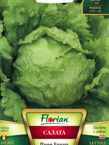 Salata Pierre Bénite - 3 gr - Seminte Salata Frunze Late de la Florian